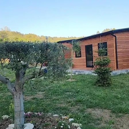 Golden Horizon ! Holiday home